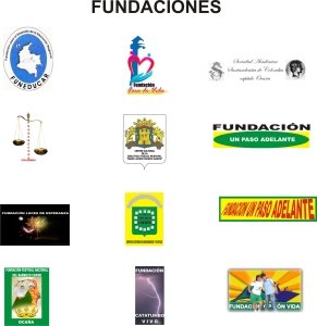 RED DE FUNDACIONES